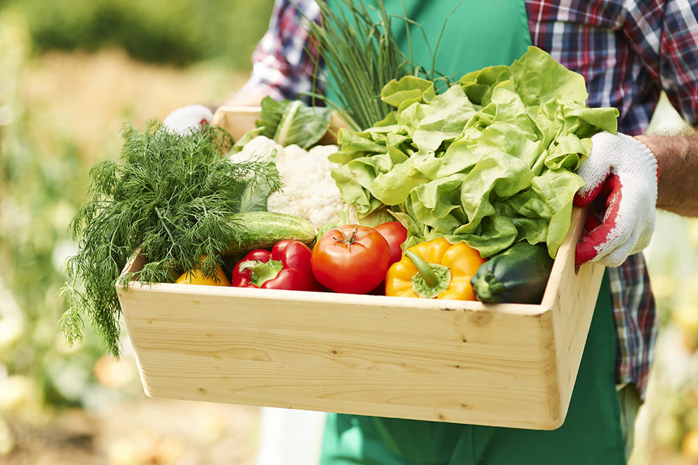 Hombre con delantal verde cargando una canasta de madera con frutas y verduras